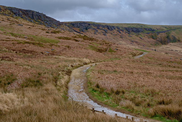 Long Causeway