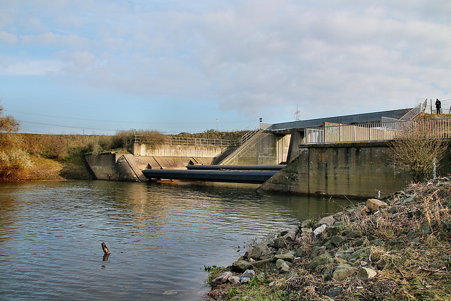 Alte Emschermündung, stillgelegtes Absturzbauwerk (Dinslaken) / 3.12.2023