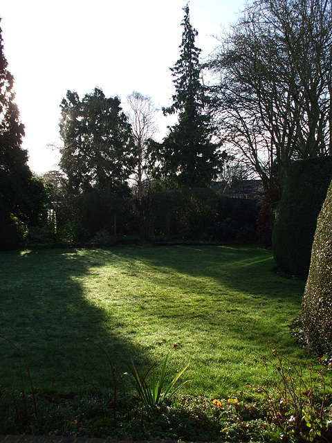 Fulbourn garden 2014-01-12