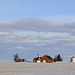 Palouse Farm