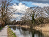 Chichester Canal