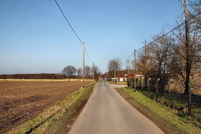 Unterlipper Straße (Waltrop) / 5.03.2022