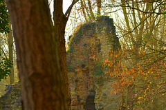Castle-Ruin Eyckholt 1128