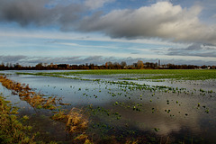 Felder überschwemmt