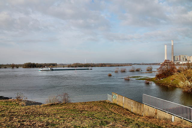 Rhein bei der Emschermündung (Dinslaken) / 3.12.2023