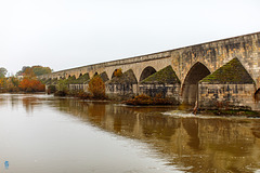 Le Pont de Beaugency