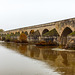 Le Pont de Beaugency