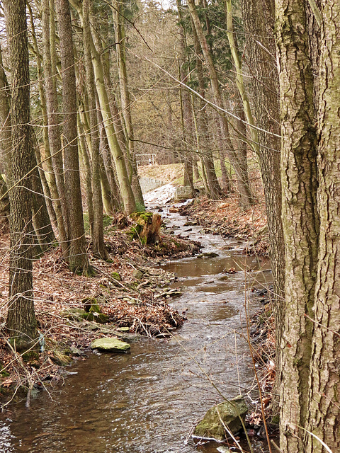 (056/365) Seerenbach