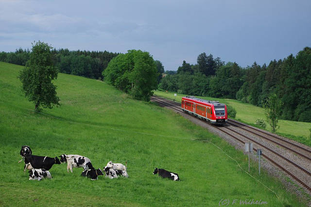 BÖ0022830 BÖ0022830