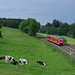 BÖ0022830