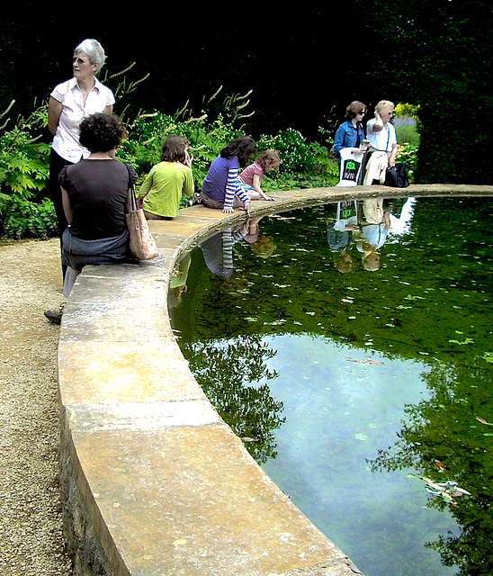 Seven Females Round a Pond