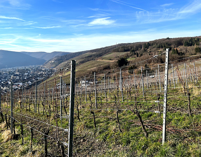 Spaziergang in den Weinbergen