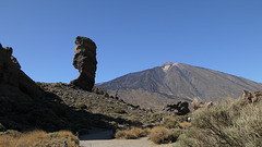 tenerife (17)