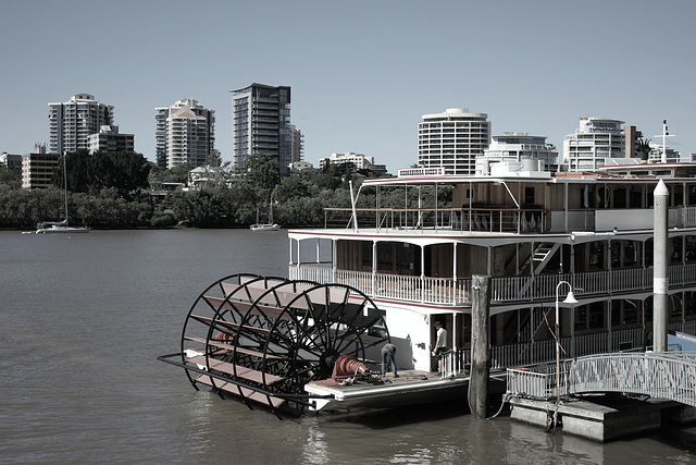 Kookaburra Queen