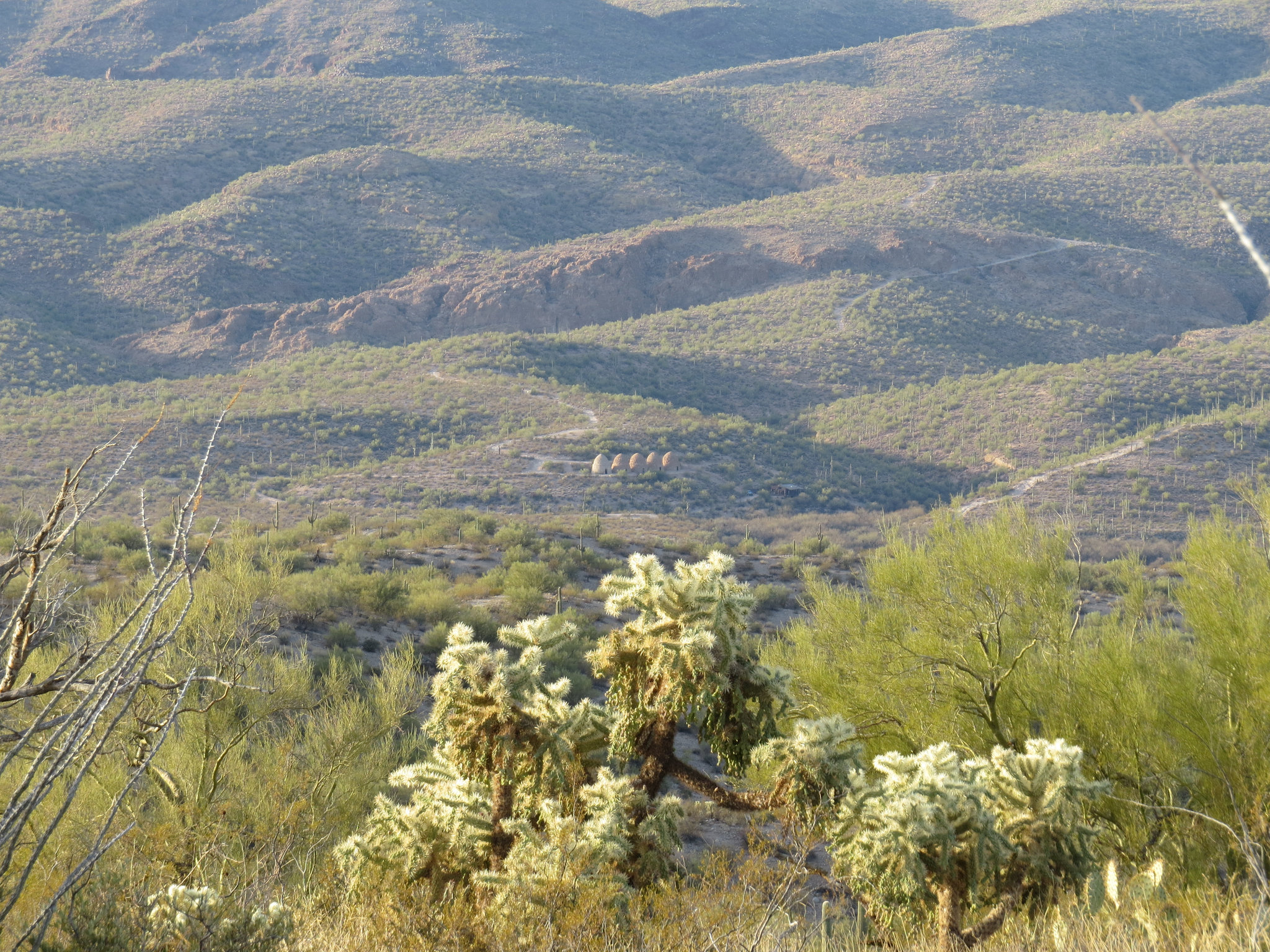 Beehives In The Hills