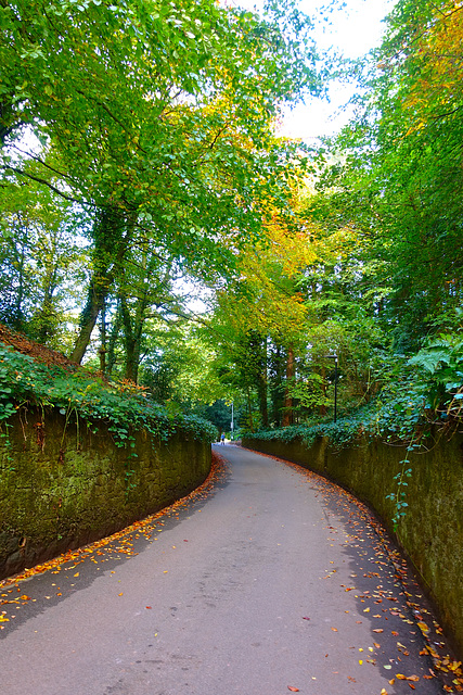 Clock House Drive, Keele University