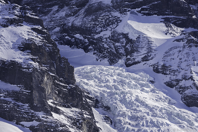 Blick in die Nordseite vom 'Mönch' (© Buelipix)