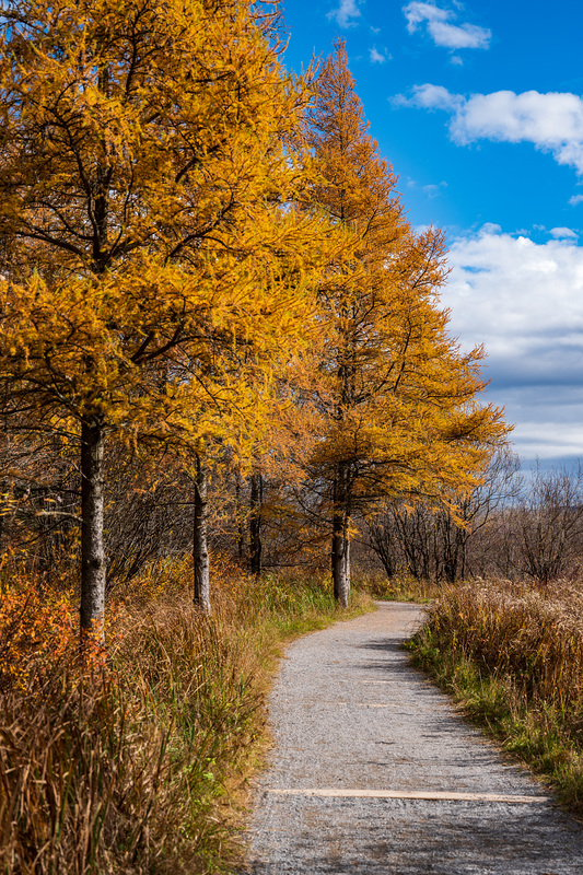 Sentier Magnifique CINLB