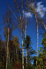 Arboretum des Grandes Bruyères en automne