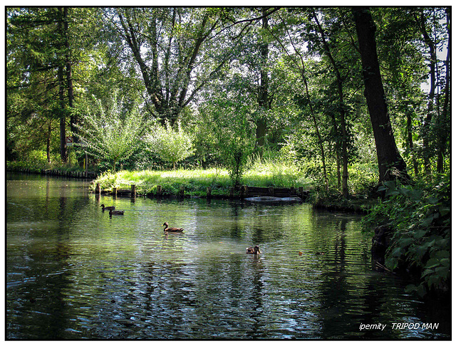 Spreewald