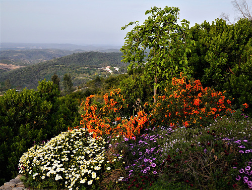 Algarve