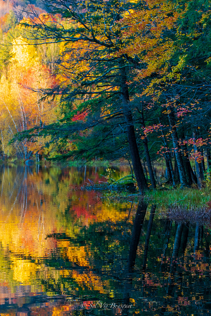 Automne vu comme un peintre