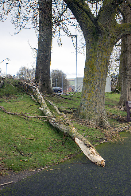 Storm Damage