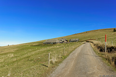 bei der St. Wilhelmer Hütte  (© Buelipix)