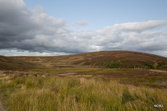 The grouse moors above Drynachan on the Cawdor estate