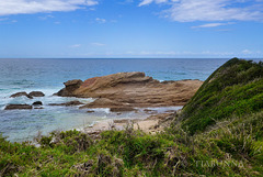 Coastal scene