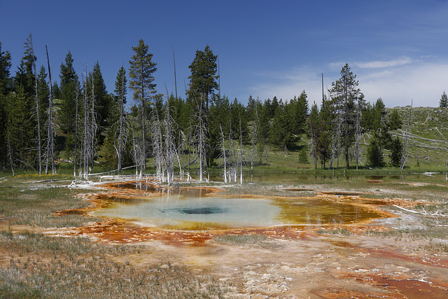 Upper Geyser Basin