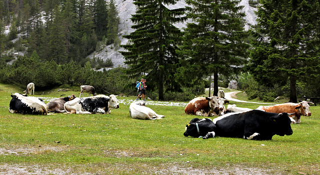 Siesta und Gelassenheit auf der Alm bei Pederü