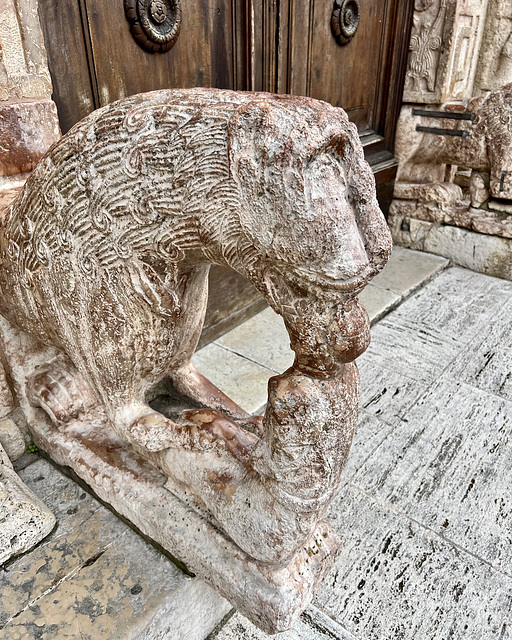 Assisi 2024 – Cattedrale di San Ruﬁno – The larger animals eat the smaller animals