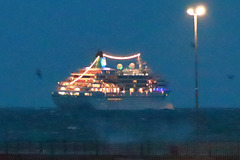 EOS 90D Peter Harriman 19 02 13 22784 amadea dpp