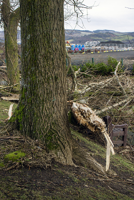 Storm Damage Storm Damage