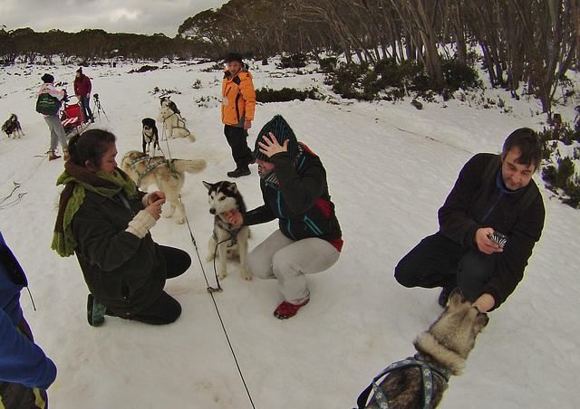 Mt Baw Baw day trip