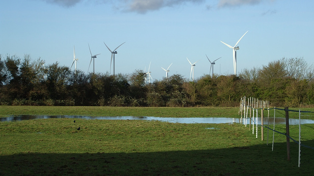 Wadlow Wind Farm seen from Balsham 2013-12-25