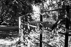 Parkland Fence