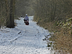 Winter sleigh ride for H.A.N.W.E.