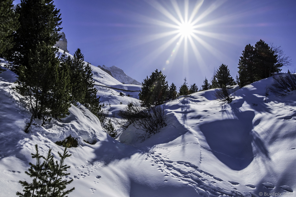 unterwegs zwischen der 'Kleinen Scheidegg' und 'Grindelwald'  (© Buelipix)