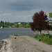 BÖ0022809