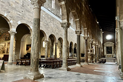 Lucca 2024 – Basilica di San Frediano