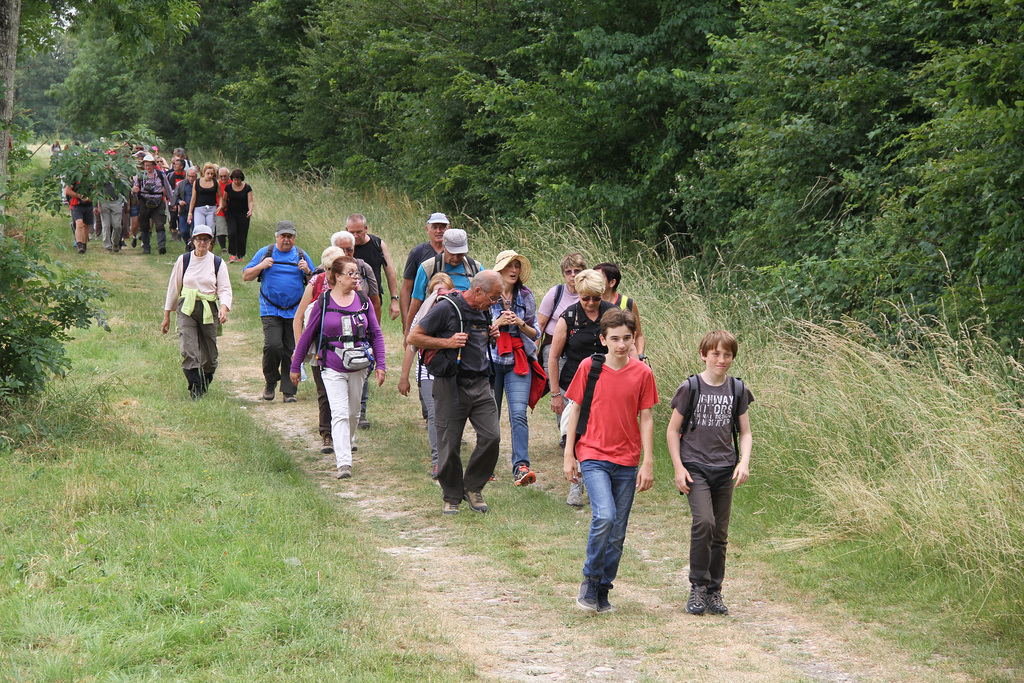 Randonnée Bombon-La Chapelle Gauthier-Bombon  - 20/06/2015