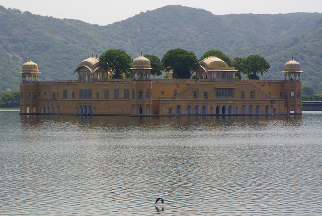 Jal Mahal (Water Palace)