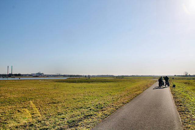 Weg auf der Rheinaue (Wesel) / 21.02.2021