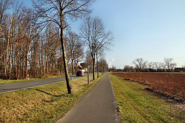 Unterlipper Straße (Waltrop) / 5.03.2022