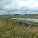 HWH - Grindon Lough [Aug 2024] {2 of 3}