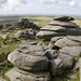 View SW from Rough Tor