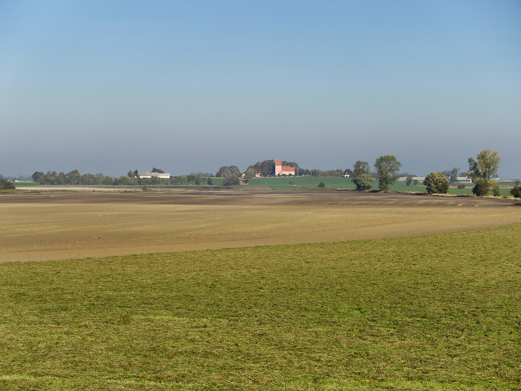 -feld-05777