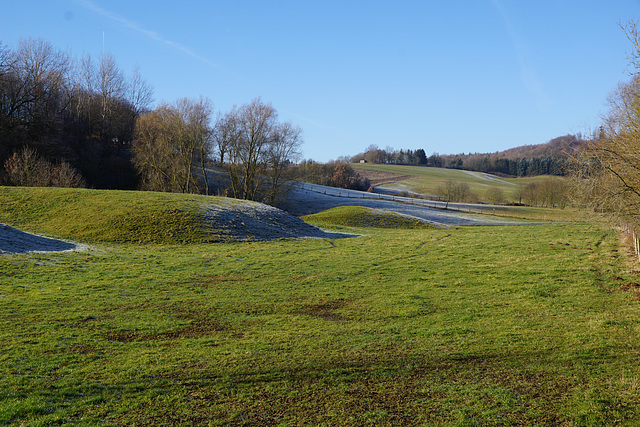 Karst in der Januarsonne II